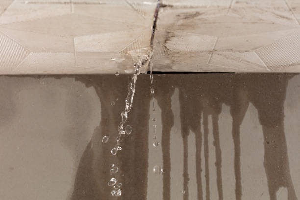 Professional Structural Drying technician working in Girardville, PA